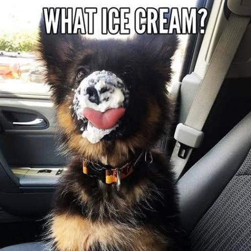 FB_IMG_1743000505613