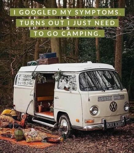 IMG_20250318_115515_668