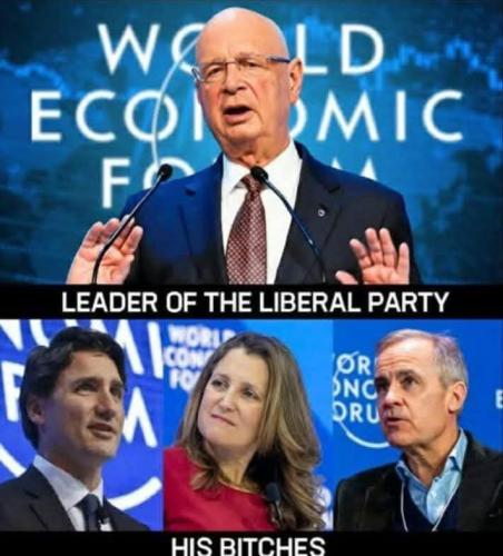 FB_IMG_1740596818695