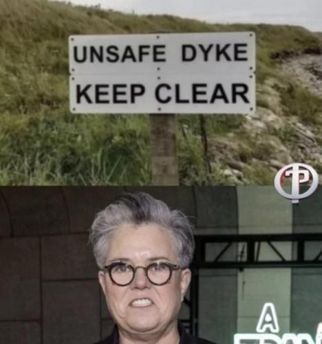 image_197F5C4D-1C72-4783-8C8D-FAC3A3A02E22