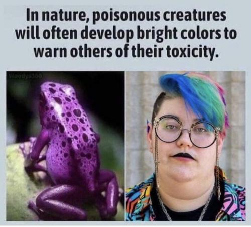 Screenshot_20250319_171748_Facebook