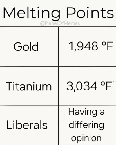 image_2025-03-22_082509974