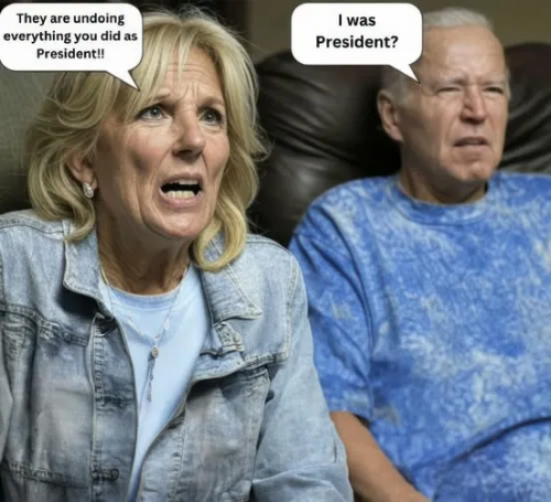 image_2025-03-08_084758929