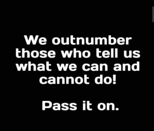 375954210_10231258393545018_5409300415315804106_n