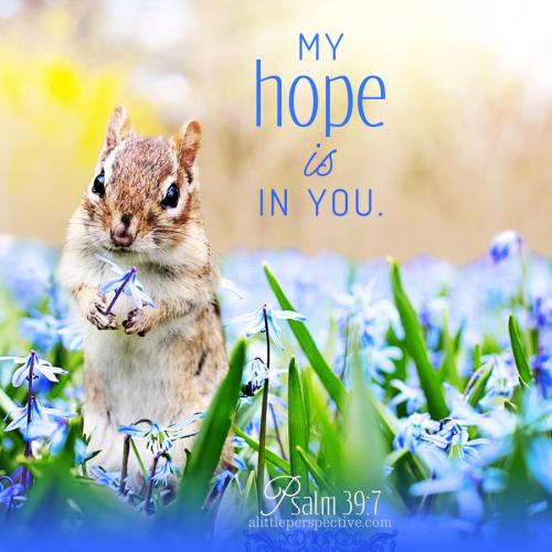 psa-39-7-KJV-pixabay-9x