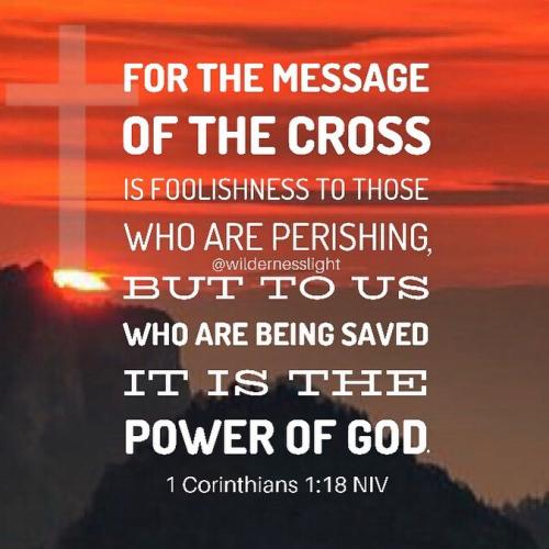 480246760_1182952183838255_5731759109191815579_n