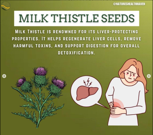 Screenshot 2025-03-12 105548