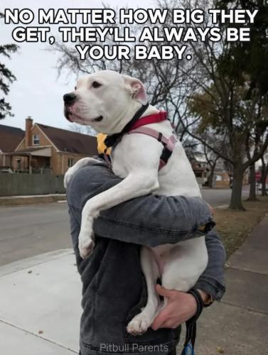 FB_IMG_1742165054790