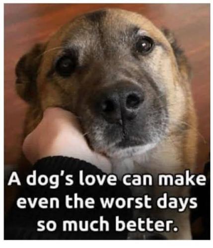 FB_IMG_1742318644100