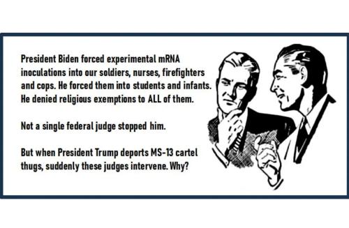 fa624121-df12-4d06-91f2-881706de4293_1136x744