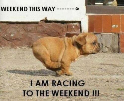 Screenshot_20250306_153019_Gallery