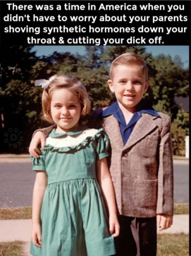 image_2025-03-24_064709219