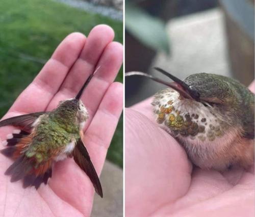 A4A303E9-C0F4-4D29-9FF1-F64F4E724E13