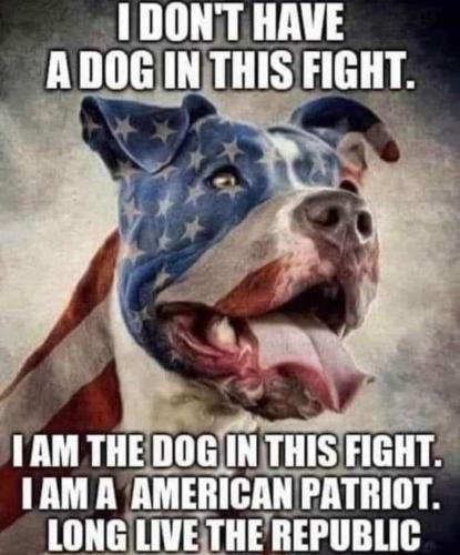 3EABDA53-2A01-4D07-9E05-75F81FDF2AC4