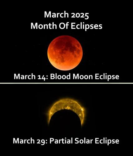 Screenshot_20250306_181507_Brave