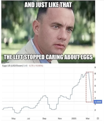 image_F75E626B-871A-4D41-9EC0-AE5CC768BE5D