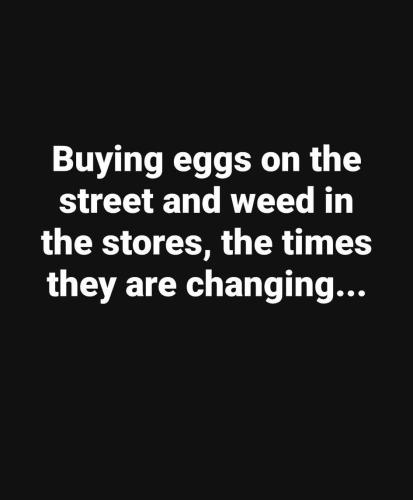 FB_IMG_1741368120029