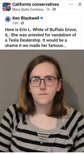 Screenshot_20250319-020803_Facebook