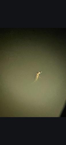 Screenshot_20250330_100917_Drive