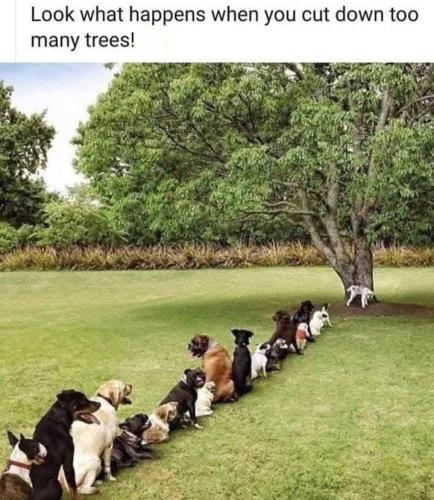 5a5266e5a16388a3cdf25b29a22eb4fc