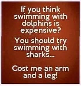 FB_IMG_1742923058216