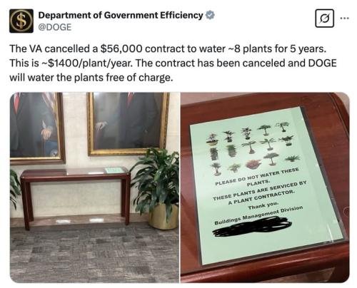 DOGE - 482079730_1069687551864121_728887375787243369_n