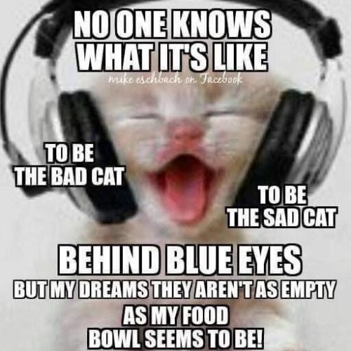 9910b9be135c9697dca089e4c8b2ea7e