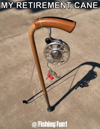 FB_IMG_1741468998893