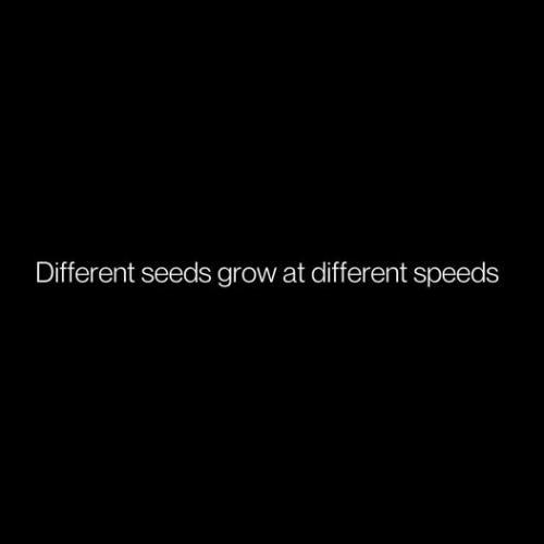 481899405_10228942531809946_9027399822165788400_n