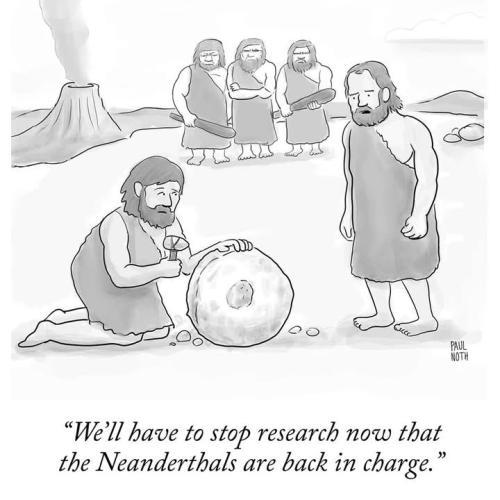 FB_IMG_1742057001748