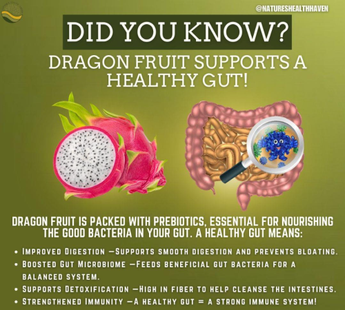 Screenshot 2025-03-19 125736