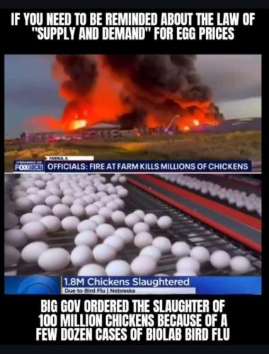 image_0AB5589D-7DD4-4FCB-B5DA-DD58F6EDAB03