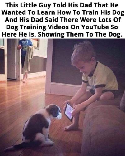 4EF44716-D3E5-4C99-9545-DD280D50AD0F