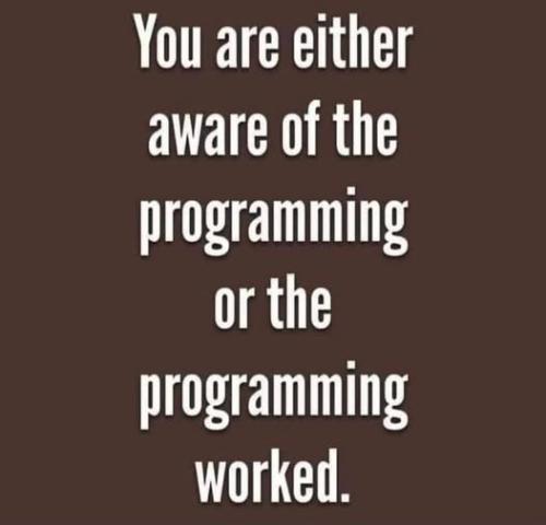 486241413_656464947269701_4062443504669615021_n