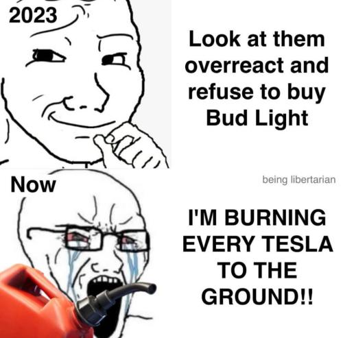 photo_2025-03-19_22-02-38