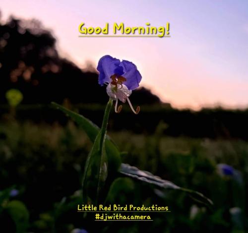 Screenshot_20250330_180829_Gallery