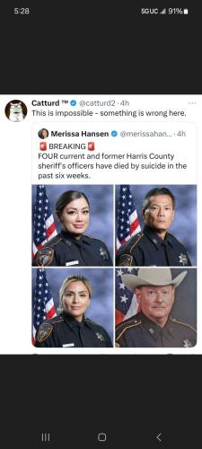 Screenshot_20250329_052827