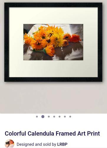 Screenshot_20250307_153950_Brave