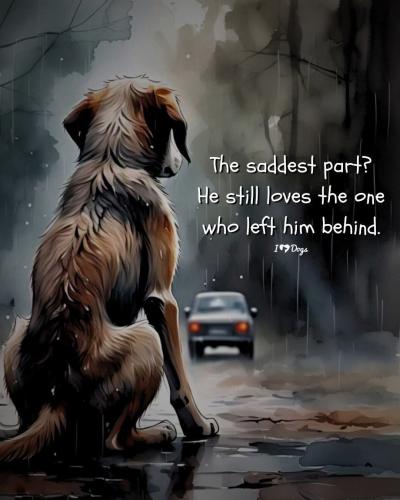 FB_IMG_1739466113961