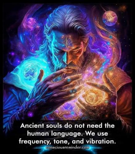478248942_665867572632838_1078441084658406337_n