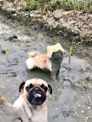 FB_IMG_1742380610671