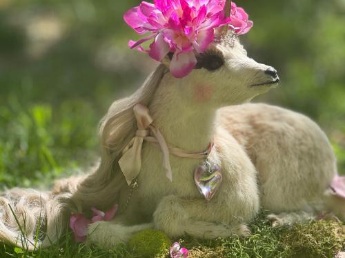 9F32A313-2F66-4803-A645-46ACAEB8C0EF