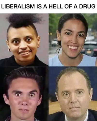 image_2025-03-11_062435199