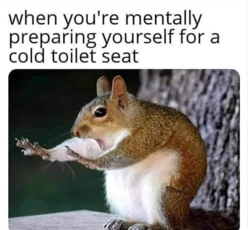 IMG_20250214_163836_764