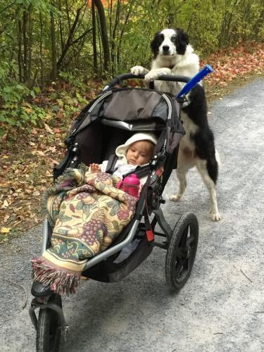 FB_IMG_1742855762632