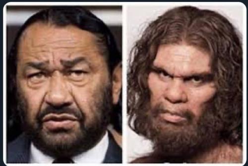 ada2c089af79e57e833da51bf07b8e5e