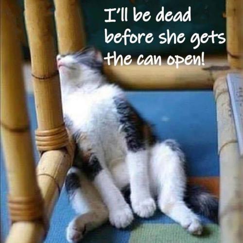 f538d0924eb588a3fdcdab113db02037