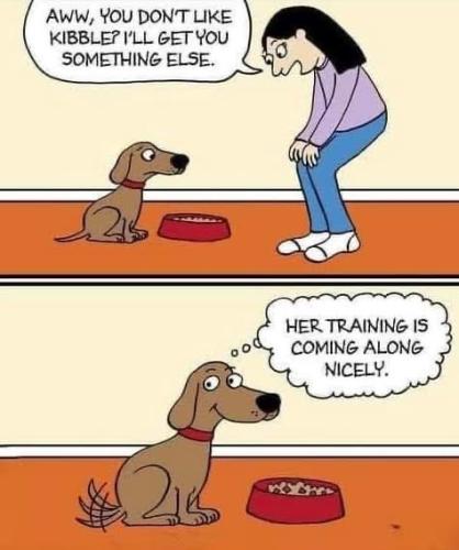 BB9FFF8F-BC92-4B84-9F1D-0111F6E4DC96