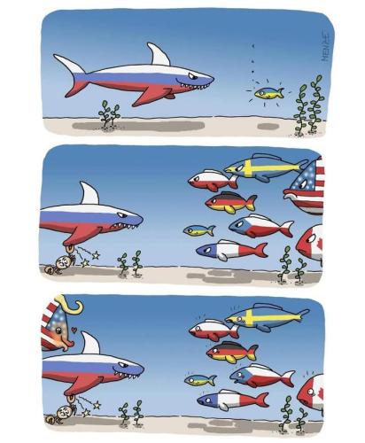 FB_IMG_1741452605778