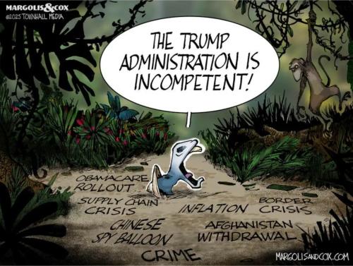 incompetence